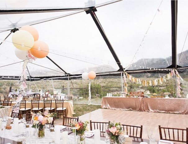 wedding image 7
